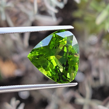 Load image into Gallery viewer, 6.78 Carat Pear Shape Peridot from Pakistan