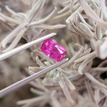 Load image into Gallery viewer, 0.70 Carat Untreated Hot Pink Cushion Cut Sapphire, AGL Report.
