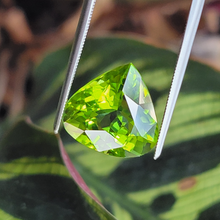 Load image into Gallery viewer, 6.78 Carat Pear Shape Peridot from Pakistan
