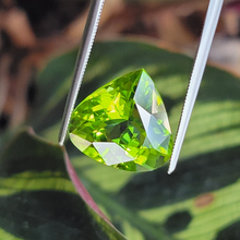 Load image into Gallery viewer, 6.78 Carat Pear Shape Peridot from Pakistan