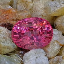 Load image into Gallery viewer, 8.21 Carat oval pink spinel from Tajikistan
