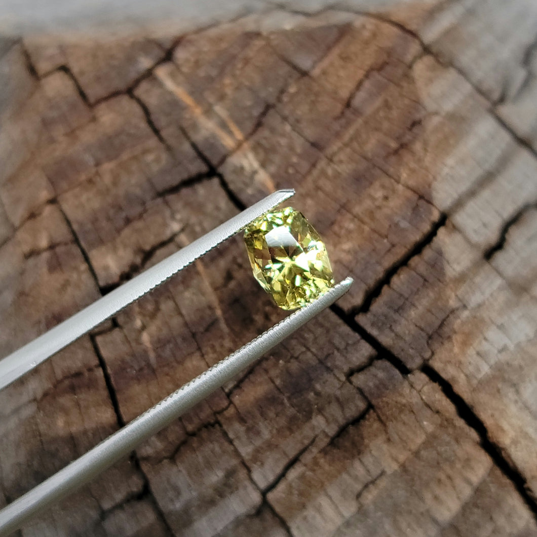 0.79 Carat Rectangular Cushion Cut Mali Garnet