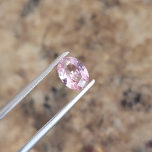 Load image into Gallery viewer, 0.73 Carat Oval Untreated Light Pink Sapphire, AGL Report
