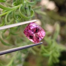 Load image into Gallery viewer, 2.44 Carat Cushion Cut Pink Spinel
